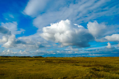 Scenic view of field against sky