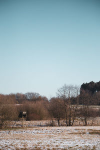 Trees on field against clear sky during winter