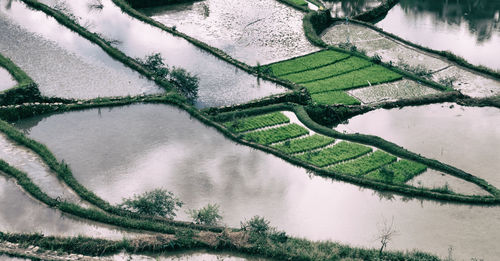 High angle view of lake