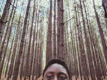 Portrait of man standing against tree trunks in forest