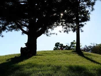 Trees on field against sky