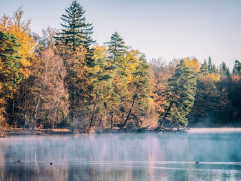 Mist on a quiet lake in the early morning