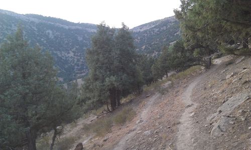 Scenic view of landscape and mountains against sky