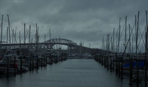 Boats in harbor