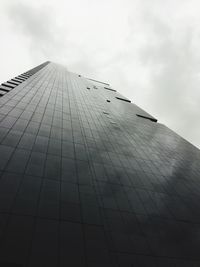 Low angle view of bird against sky