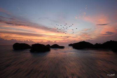View of birds flying over sea during sunset