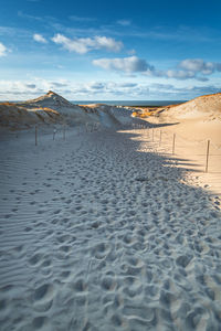 Dead dunes in curonian spit, lithuania