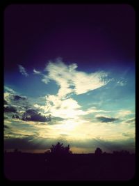 Silhouette of trees at sunset