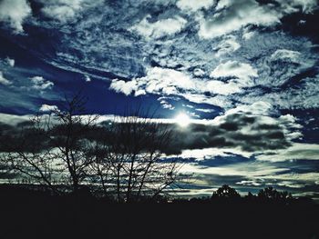 Low angle view of trees against cloudy sky