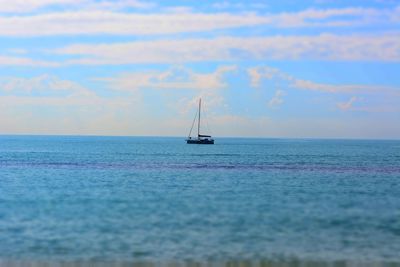 Sailboat sailing in sea