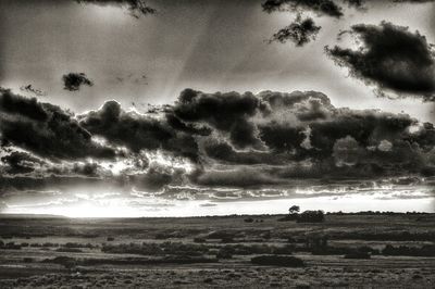 Scenic view of field against cloudy sky