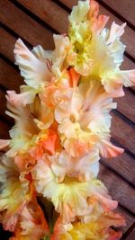 Close-up of flower bouquet