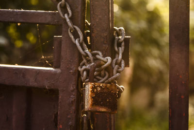 Close-up of rusty metal fence