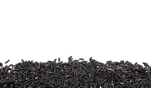 Close-up of firewood against clear sky over white background