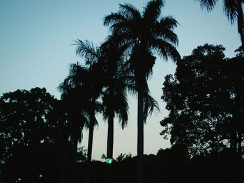 Low angle view of silhouette trees against sky