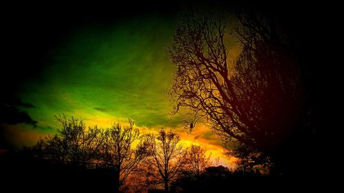 Silhouette trees against sky at night