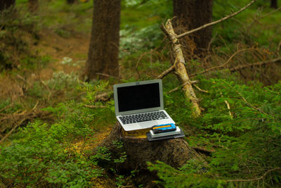 Close-up of laptop on tree stump in forest