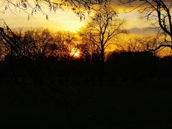 Silhouette trees on landscape against sky at sunset