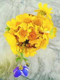 Close-up of yellow flower