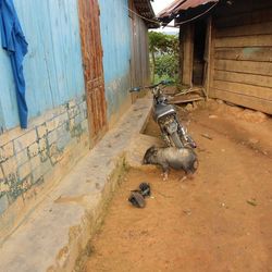 View of built structure