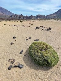 Scenic view of rocks on land against sky