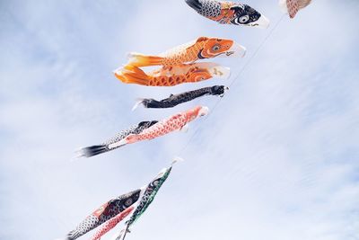 Low angle view of fish hanging against sky