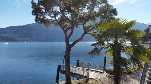 Scenic view of lake and mountains