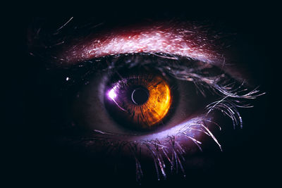 Close-up of human eye against black background