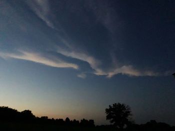 Low angle view of silhouette trees against sky