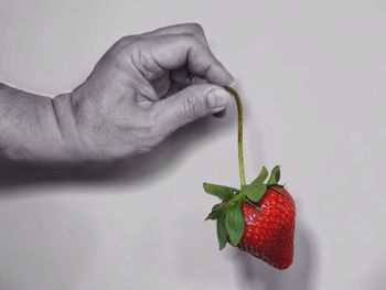 Cropped image of person holding strawberry against white background