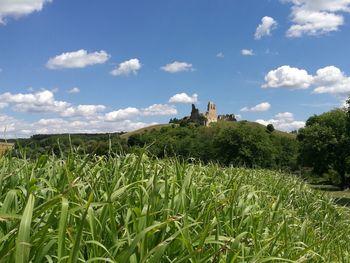 Scenic view of field against cloudy sky