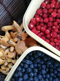 High angle view of fruits in bowl