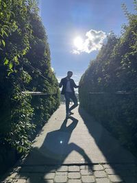 Rear view of man walking on sunny day