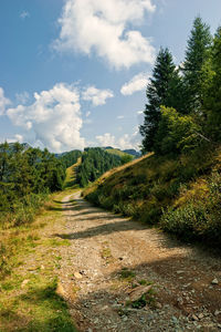 Road amidst trees against sky