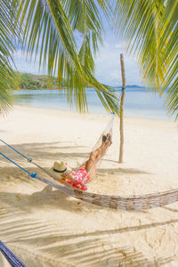 View of palm trees on beach