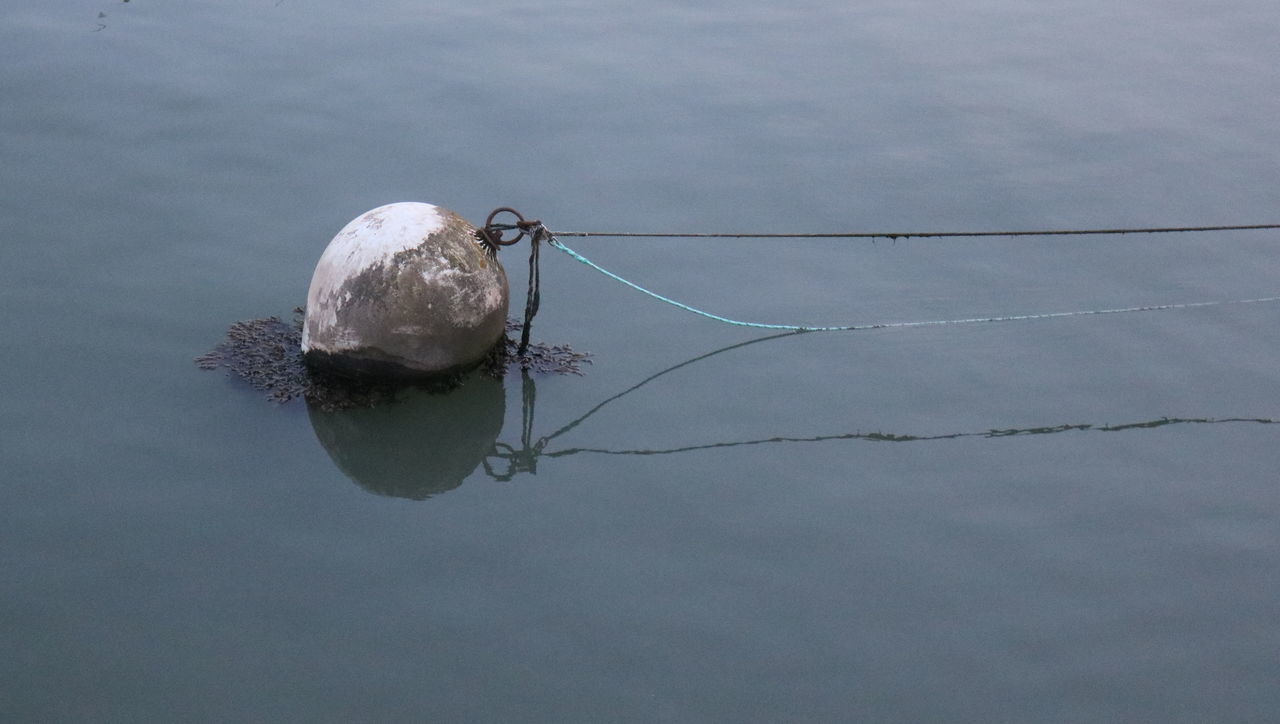 HIGH ANGLE VIEW OF BIRD PERCHING ON CABLE