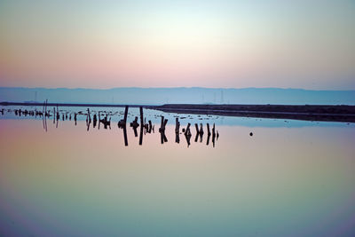 Wooden posts in lake against sky during sunset