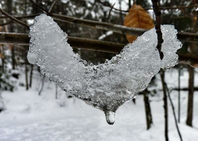 Close-up of frost on snow