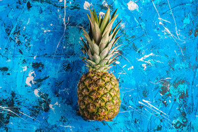 Close-up of fruits against blue water