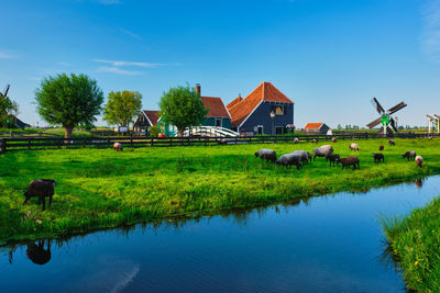 View of a lake with houses in background