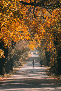 People walking on footpath during autumn