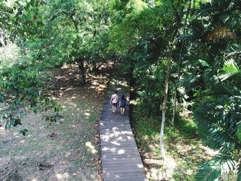 Rear view of people walking on plants