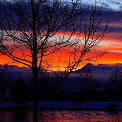 Silhouette bare tree by lake against sky during sunset