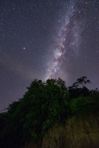 Low angle view of trees against sky at night