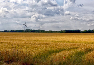 Windmills on field against sky