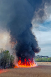 Raging forest spring fires. burning dry grass, reed along lake. grass is burning in meadow.