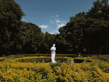 Rear view of woman standing on grassy field