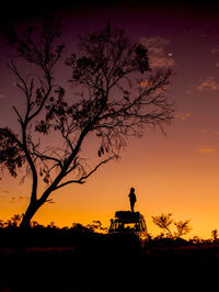 Silhouette tree against sky during sunset