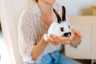 Midsection of woman holding rabbit