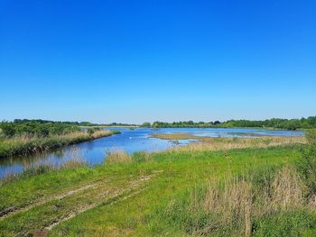 Scenic view of lake against clear blue sky